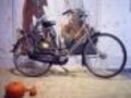 De Fietsspecialist en fietsverhuur Vriewieler